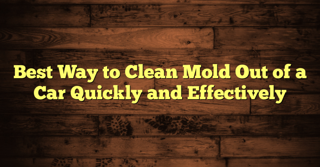 Best Way to Clean Mold Out of a Car Quickly and Effectively Best Way to Clean Mold Out of a Car Quickly and Effectively