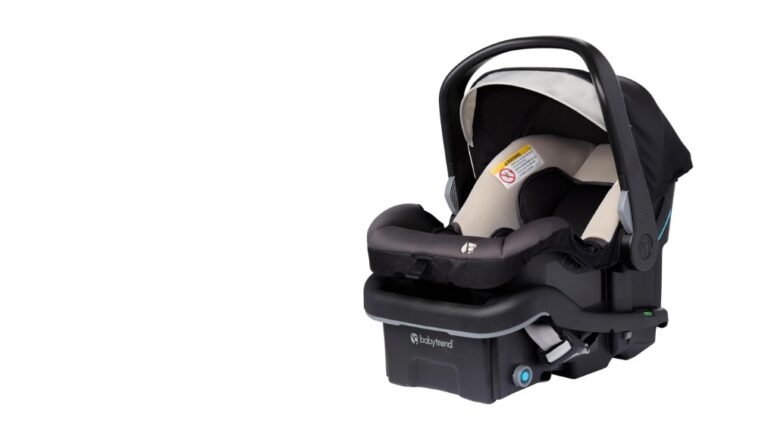10 Best Twin Car Seats for Safety and Comfort in 2026 best twin car seats