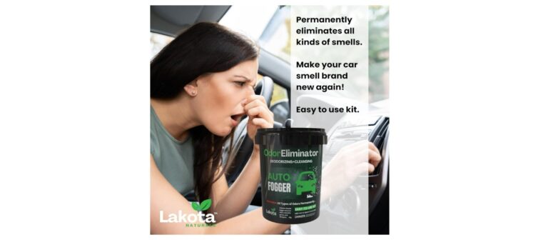 7 The Best Car Deodorizer for Lasting Freshness and Odor Control the best car deodorizer