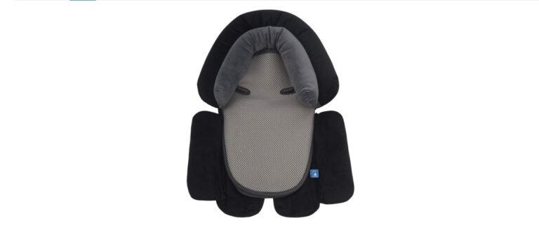 10 Best Car Seat Insert for Safety and Comfort in 2026 best car seat insert