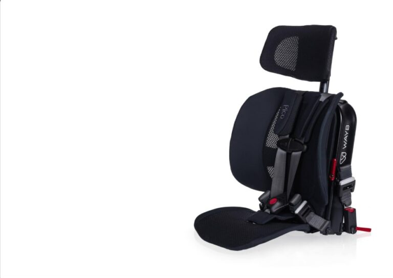 10 Best Travel Car Seat for Flying 2026 Guide to Safety and Convenience best travel car seat for flying