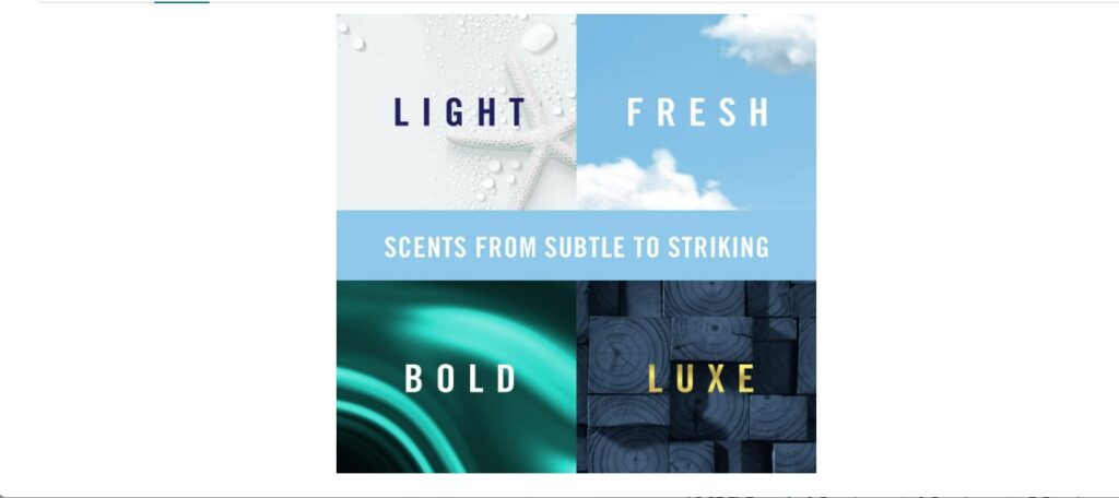 best car scent