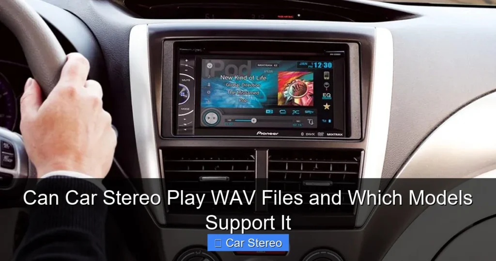 Can Car Stereo Play WAV Files and Which Models Support It
