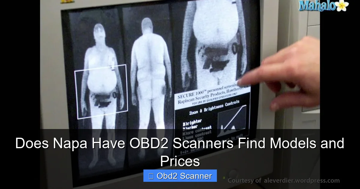 Does Napa Have OBD2 Scanners Find Models and Prices