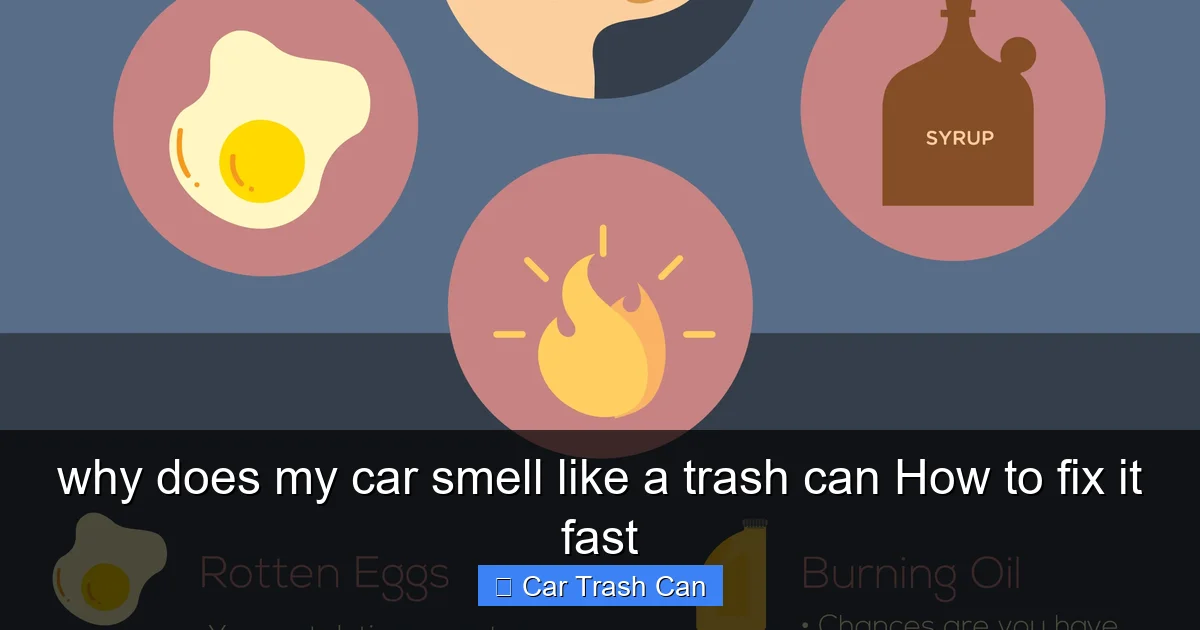 why does my car smell like a trash can How to fix it fast