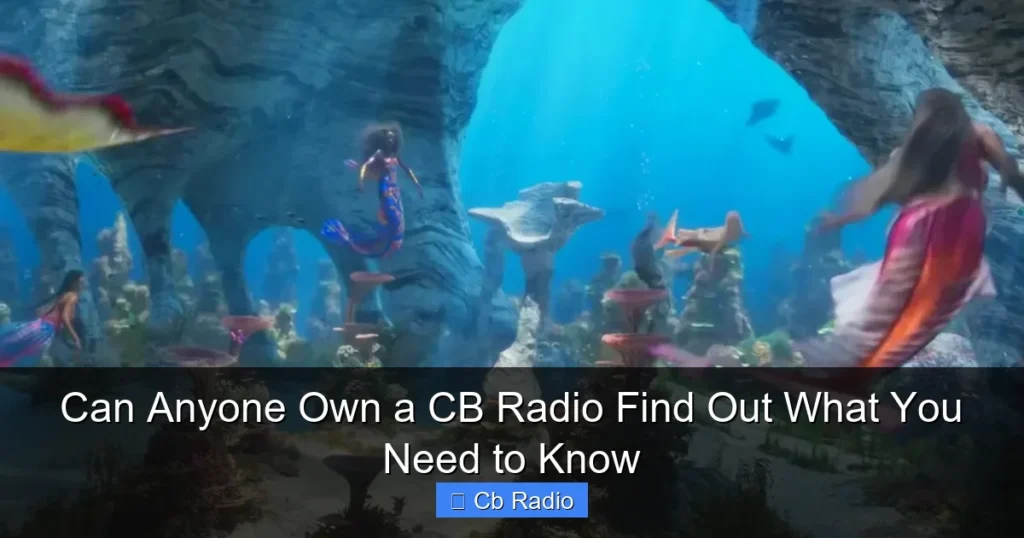 Can Anyone Own a CB Radio Find Out What You Need to Know