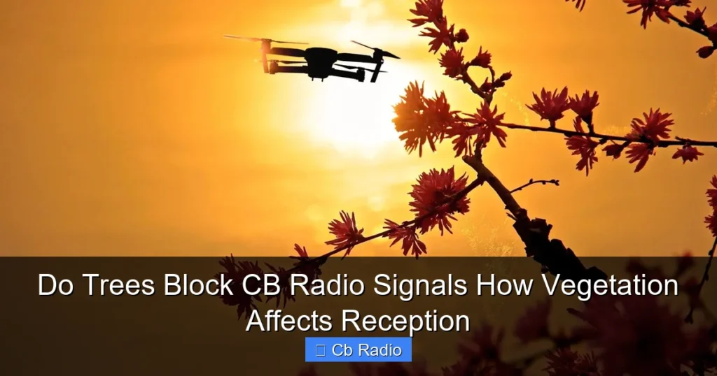 Do Trees Block CB Radio Signals How Vegetation Affects Reception