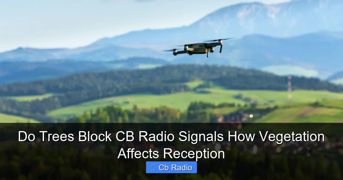 Do Trees Block CB Radio Signals How Vegetation Affects Reception